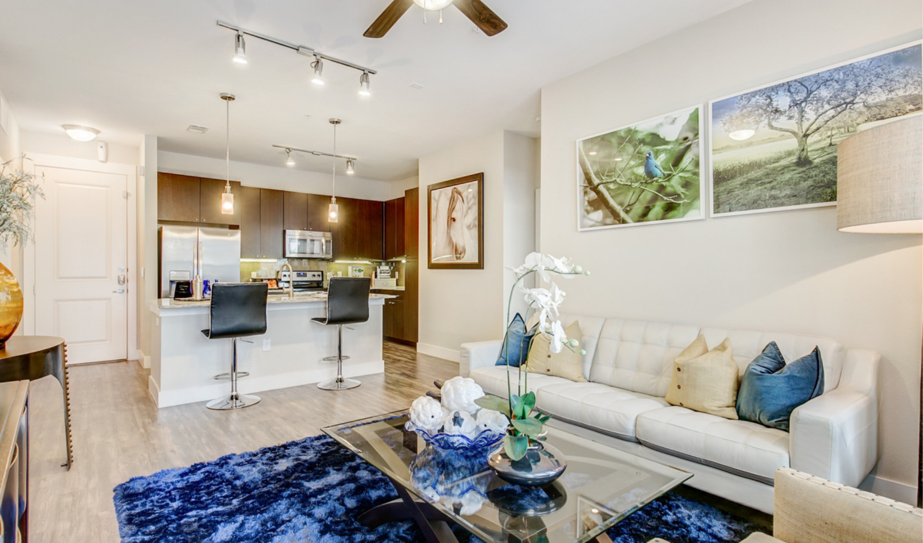 Where Luxury Meets Lifestyle